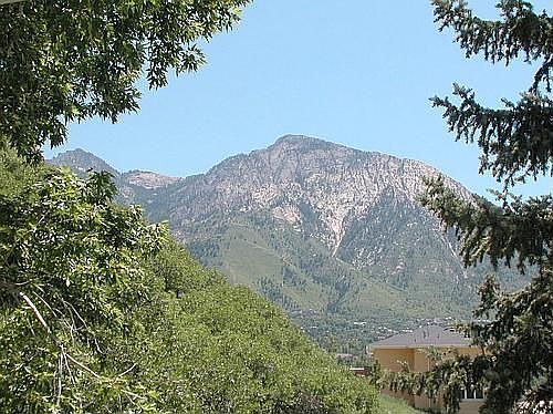 Mtn. View from Deck