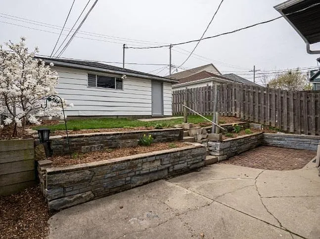Back yard