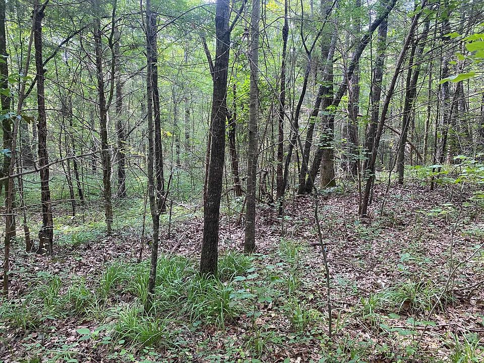 2nd image of Leonard Ln