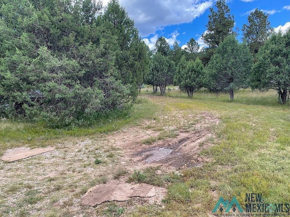 98 Seep Canyon Rd, Weed, NM 88354 MLS 20225249 Zillow