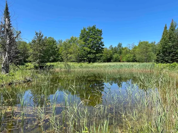Tbd Flodin Rd, Manistique, MI 49854