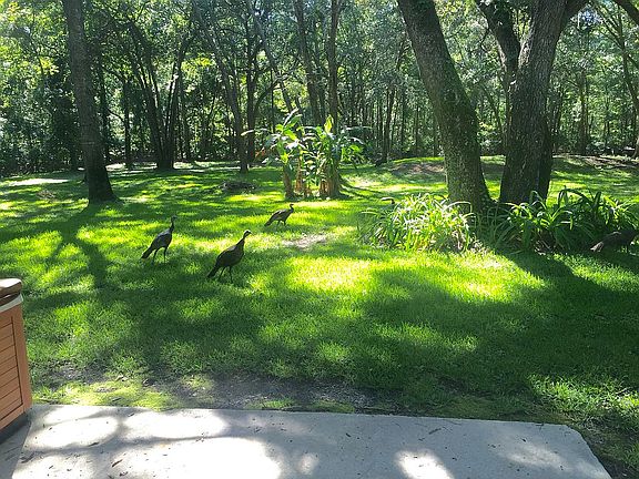 2nd image of 2636 Pheasant Ct W