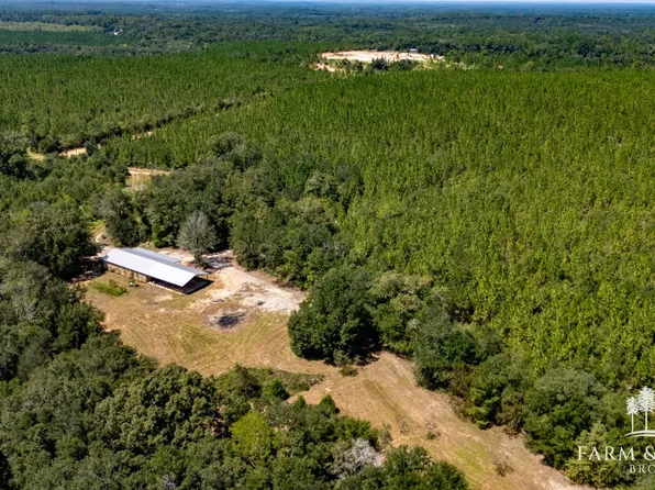 1170 Saint Marys Rd, Caryville, FL 32427