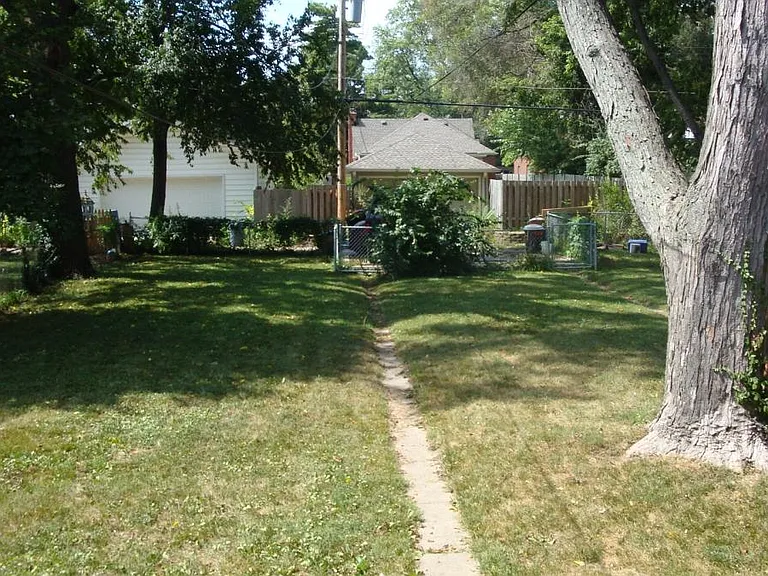 Back yard
