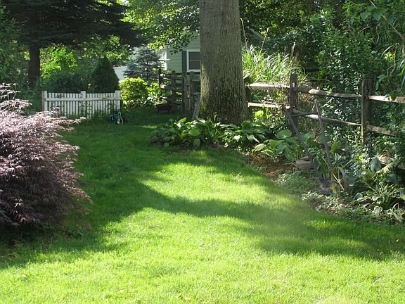 Looking to St from backyard