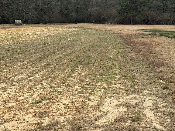 5th image of 71 Thomas Ed Rustin Rd
