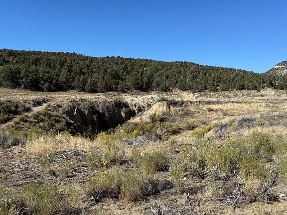 4th image of 3 S Mineral Springs Rd