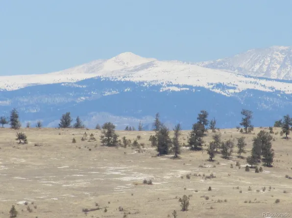 237 Black Beaver Road LOT 76, Hartsel, CO 80449