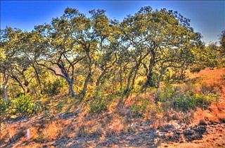 3rd image of 1092 Bridlewood