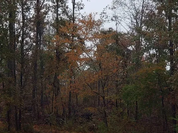 7257 Smithfield Rd, Bowdon, GA 30108