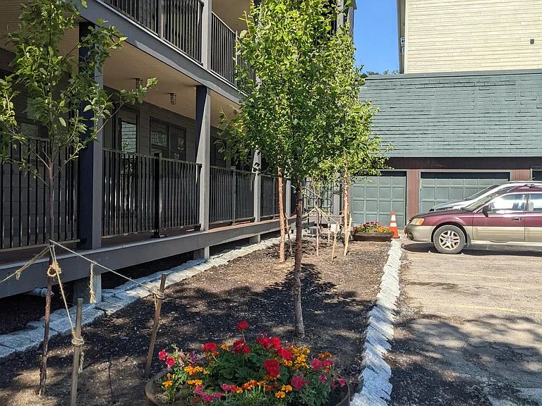 328 College St #2 — Photo 2