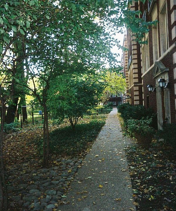 1st image of 1033 Ontario St APT 2BS