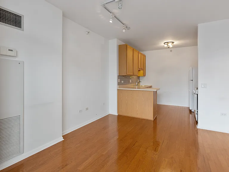 600 N Dearborn St #1505 — Photo 9
