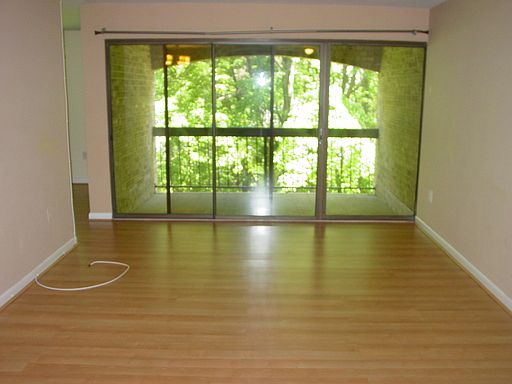 Living Room and Balcony