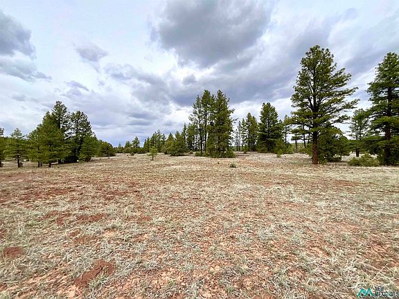 3rd image of Forest Rd #157