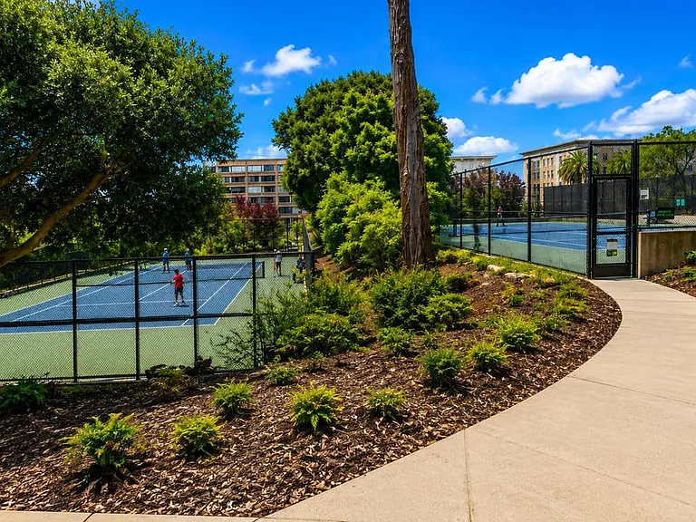 Tennis, anyone?