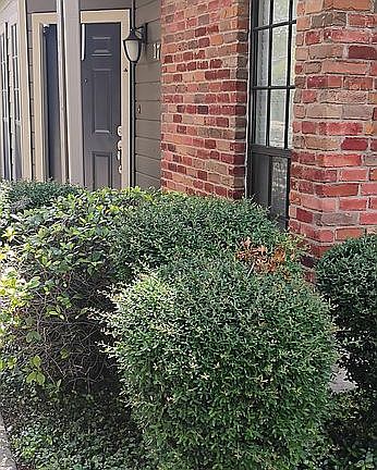 4th image of 17 Chapel Hill Cir #17