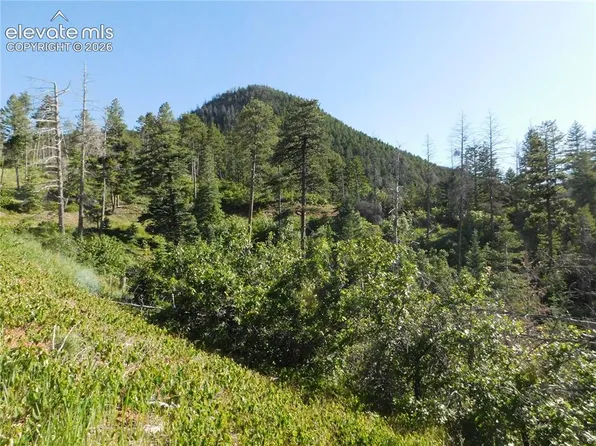LOT 11 Cheyenne Dr, Larkspur, CO 80118