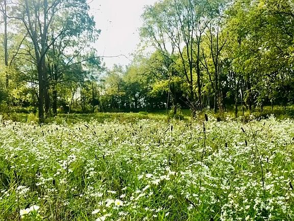 3rd image of 2890 State Road 236