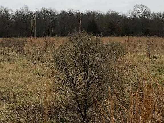 2nd image of 183 Noah Ln