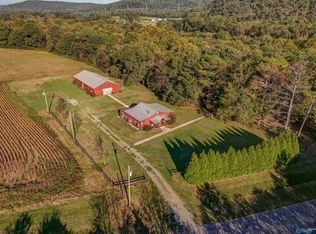80 S Sauty Rd, Guntersville, AL 35976