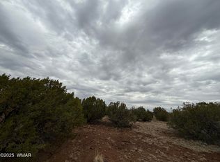 149 County Road 8057, Concho, AZ 85924