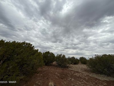 149 County Road 8057, Concho, AZ, 85924