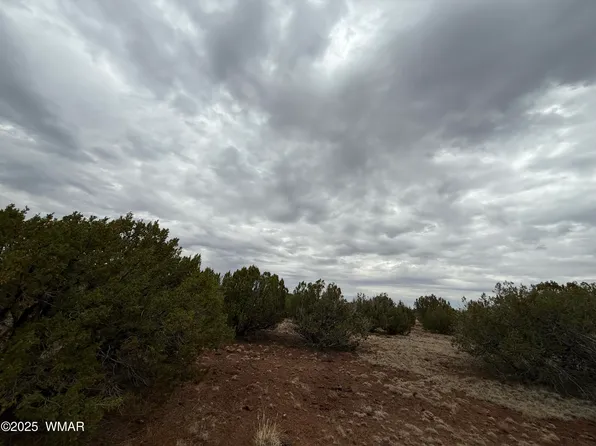 149 County Road 8057, Concho, AZ 85924