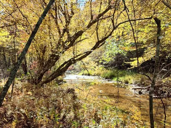 96 Woodrow Ln, Stuart, VA 24171