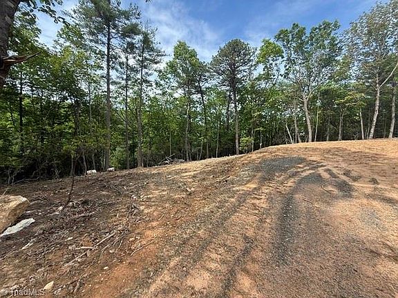 5th image of 0 Chestnut Mountain Farms Pkwy Lot 54