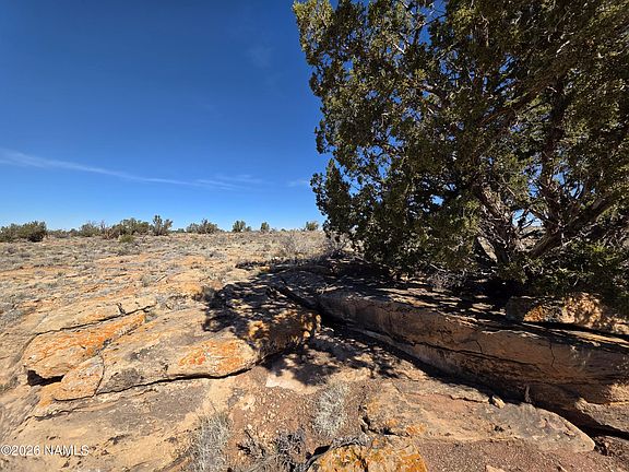 2nd image of 1153 Indian Meadows Rd