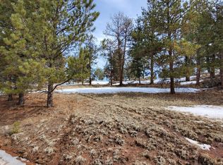 803 Arapahoe Dr, Florissant, CO 80816