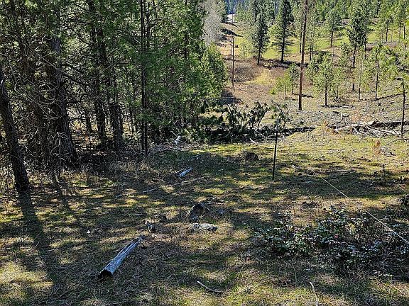 5th image of 206X Addy Gifford Rd Lot A