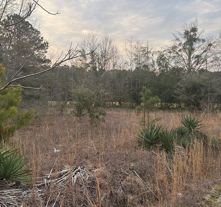 2nd image of 2515 Tindal Rd