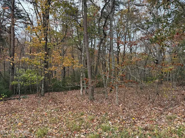View Pl, Monterey, TN 38574