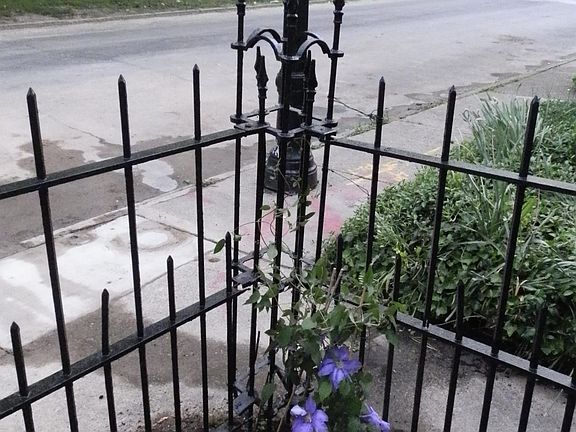 iron fence
