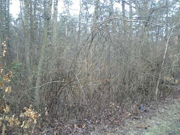 3rd image of 6862 Millville Ave