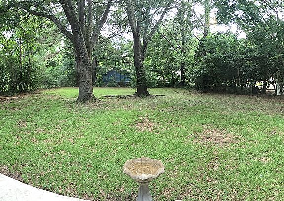 Large, Fenced Back Yard
