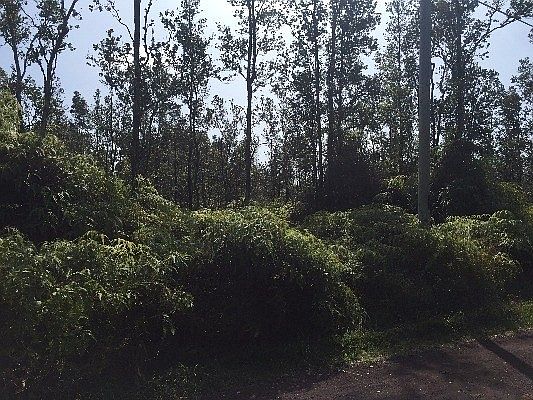 4th image of Kapiolani St Lot 391