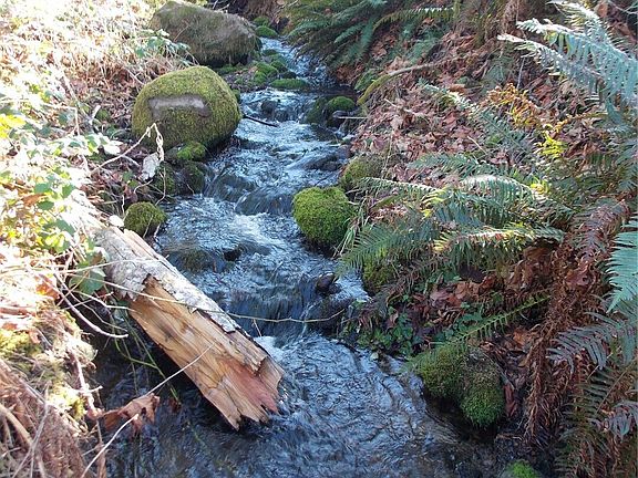 4th image of 421 Young Road