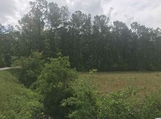 Airport Rd TRACT 3, Loris, SC 29569