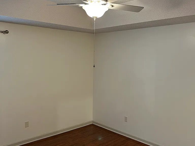 Master Bedroom, Tray Ceiling