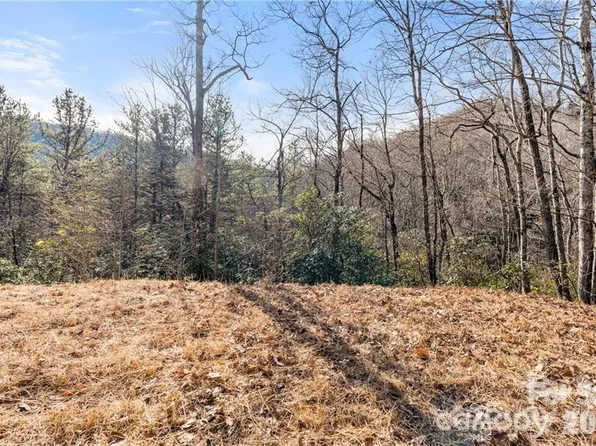 28 Trillium Ln #C1, Black Mountain, NC 28711