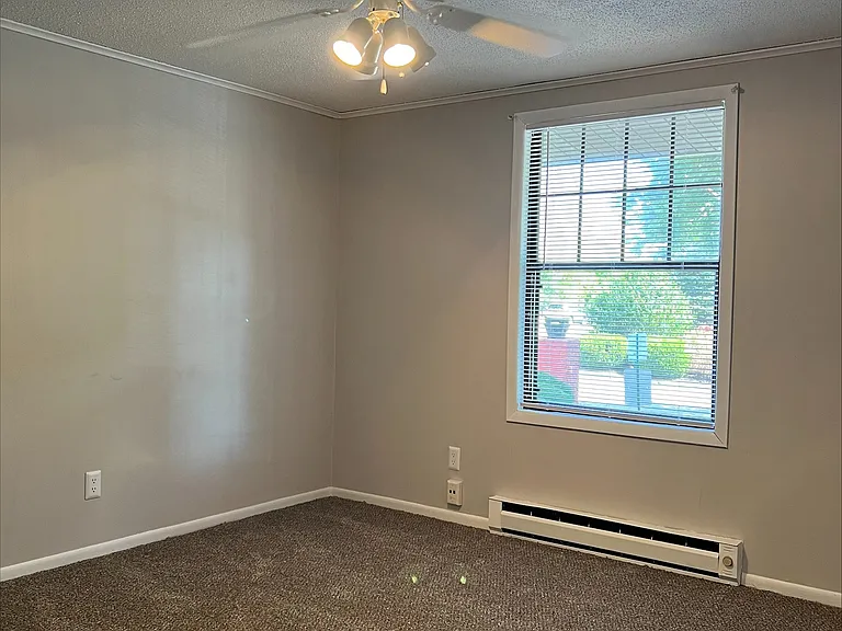 Treeborn Apartments — Photo 20