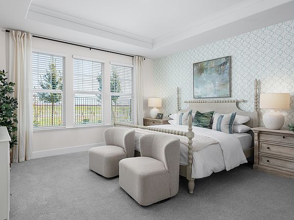 Primary suite with tray ceiling and crown moulding detailing