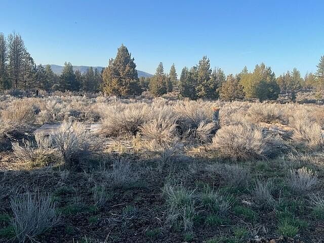 2nd image of 46038 Deer Springs Rd Lot 4