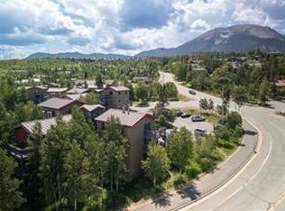 8017 Ryan Gulch Rd #B-8, Silverthorne, CO 80498