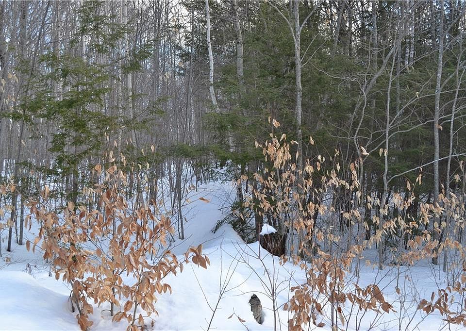 2nd image of Lot 8 Hillside Way