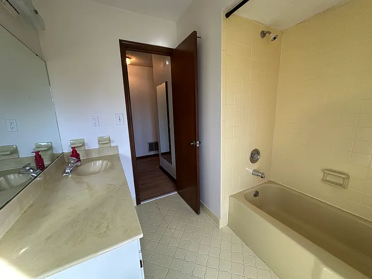 Hall/guest bath