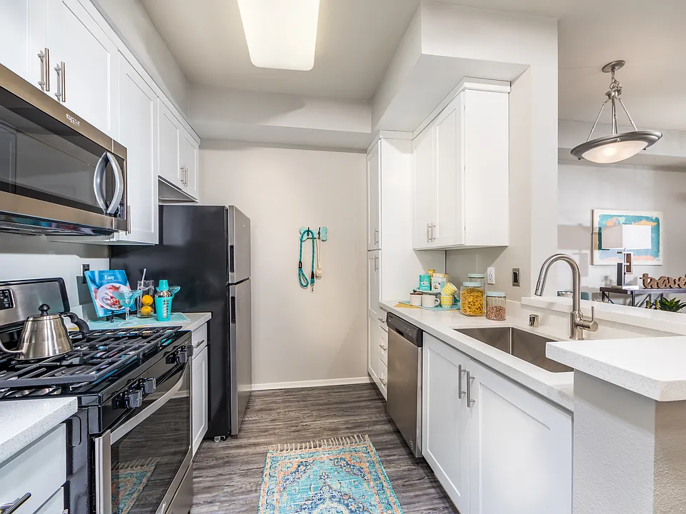 Modern Kitchen